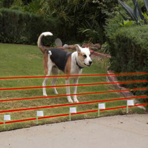 Electronic Fence