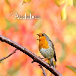 Audubon® Plants for Birds
