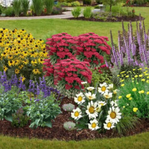 Shrubs & Perennials